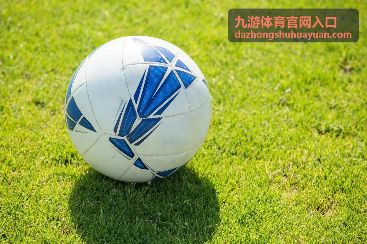 九游体育官网入口客户端下载与文件核对界面